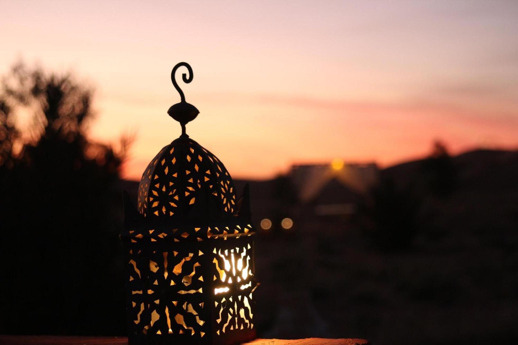 Moha Luxury Camp Adrouine