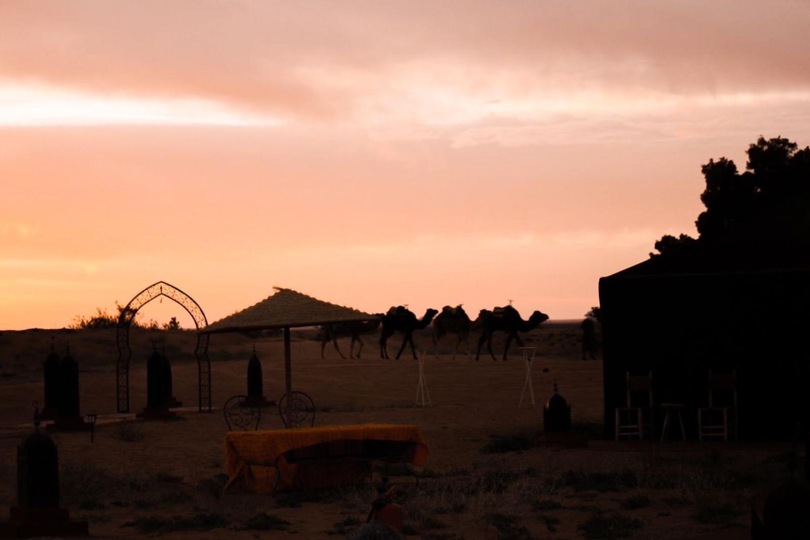 Luxury tent Moha Luxury Camp Adrouine