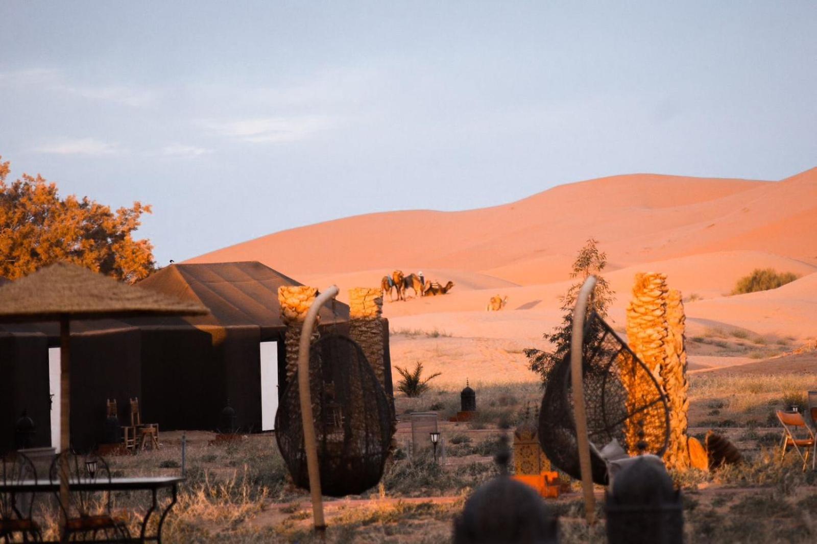 Moha Luxury Camp * Adrouine